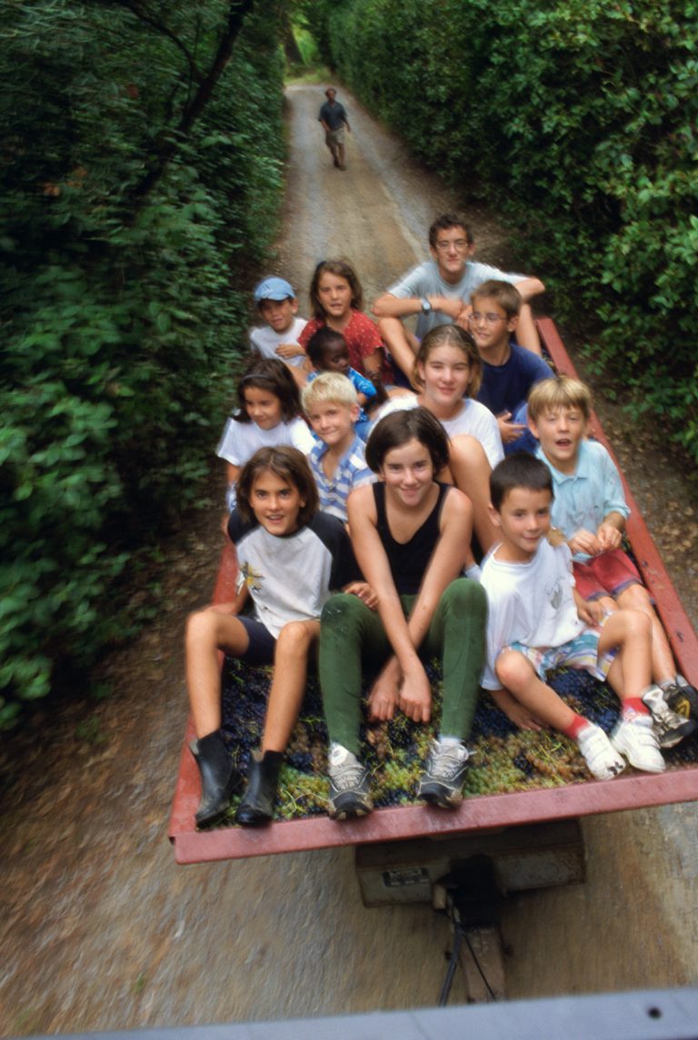 La vendange des neveux