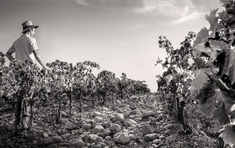 Rémi, vignerons à Canet-en-Roussillon
