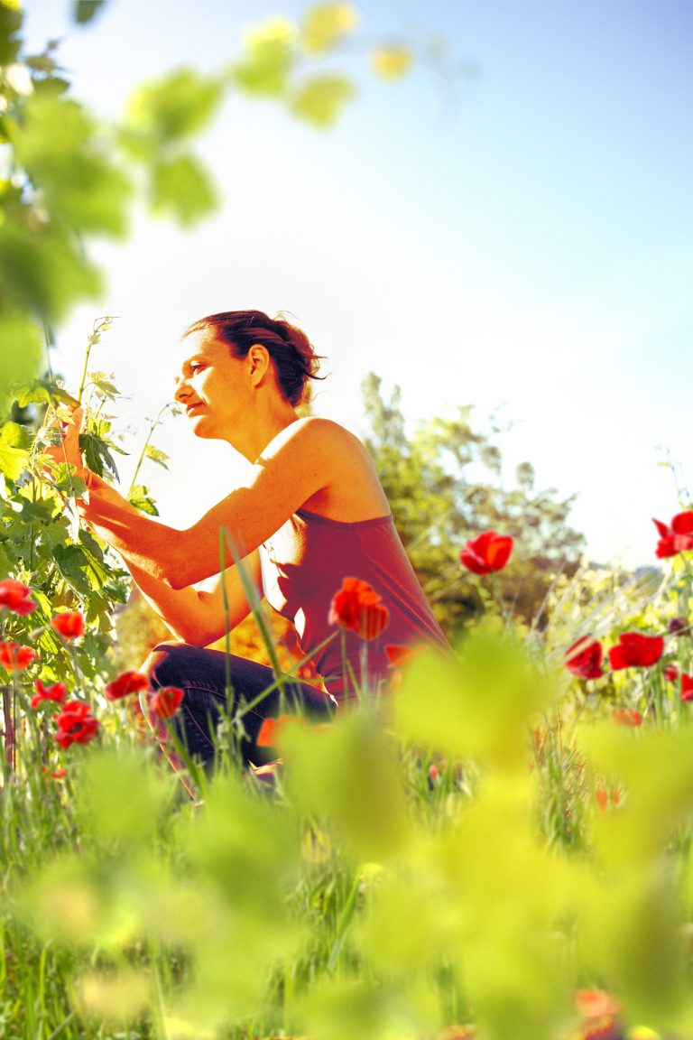 Florence Quiot Négociante à Vacqueyras