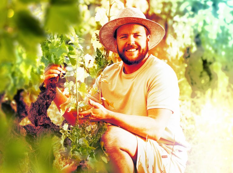 Loïc Alazard Vigneron à Sablet