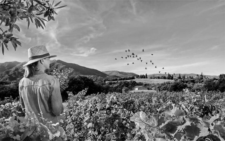 Frédérique, vigneronne à Tresserre